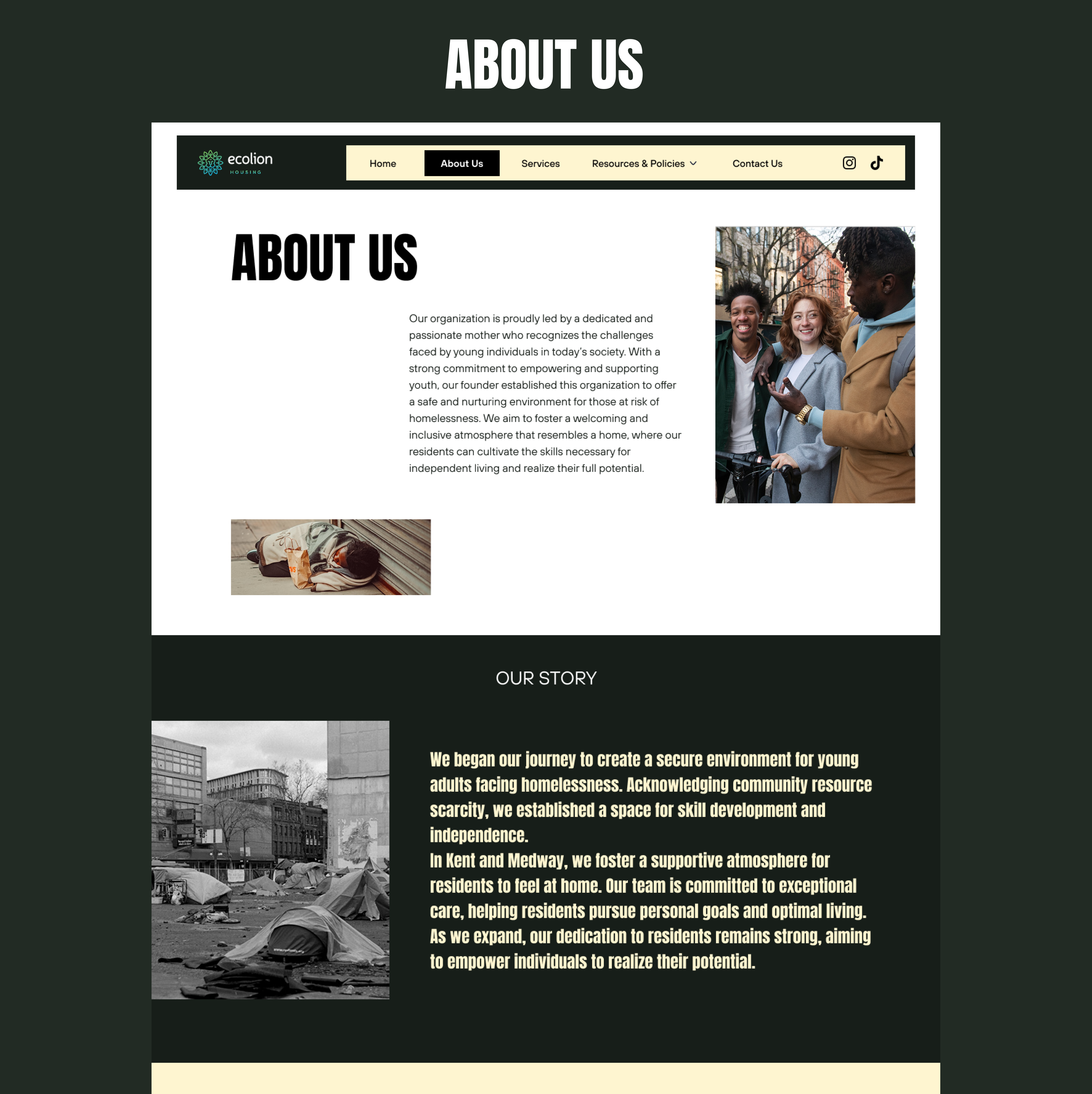 Ecolionhousing UK - Image 2